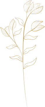 Decorative plant with several leaves coming off of a thin stem
