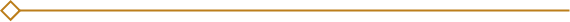 Decorative horizontal gold line